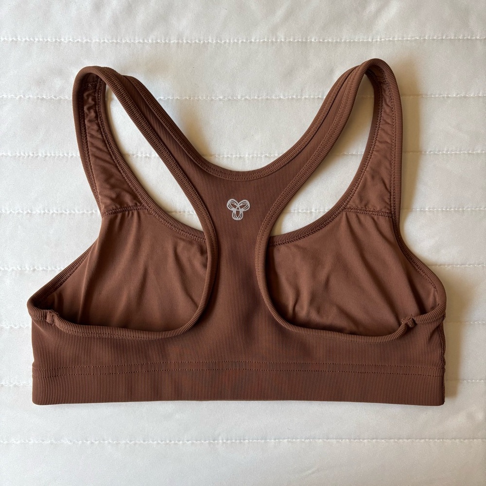 Aritzia TnaSLICK Sports Bra
